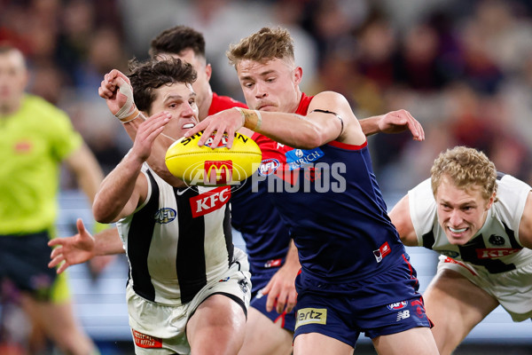 AFL 2024 Round 24 - Melbourne v Collingwood - A-53331022