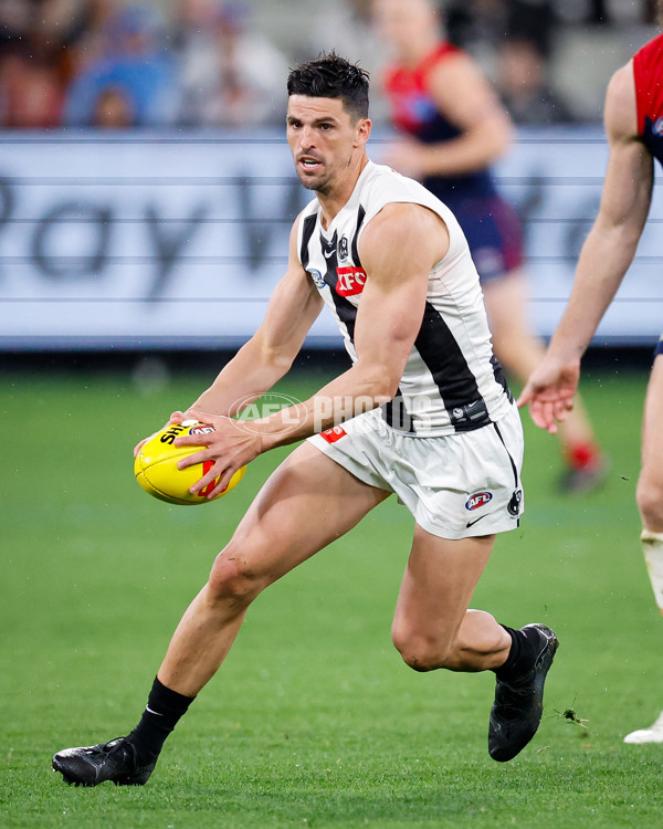 AFL 2024 Round 24 - Melbourne v Collingwood - A-53331025