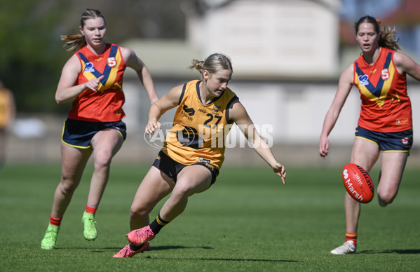 Marsh AFL Championships U18 Girls 2024 - South Australia v Western Australia - A-53332530