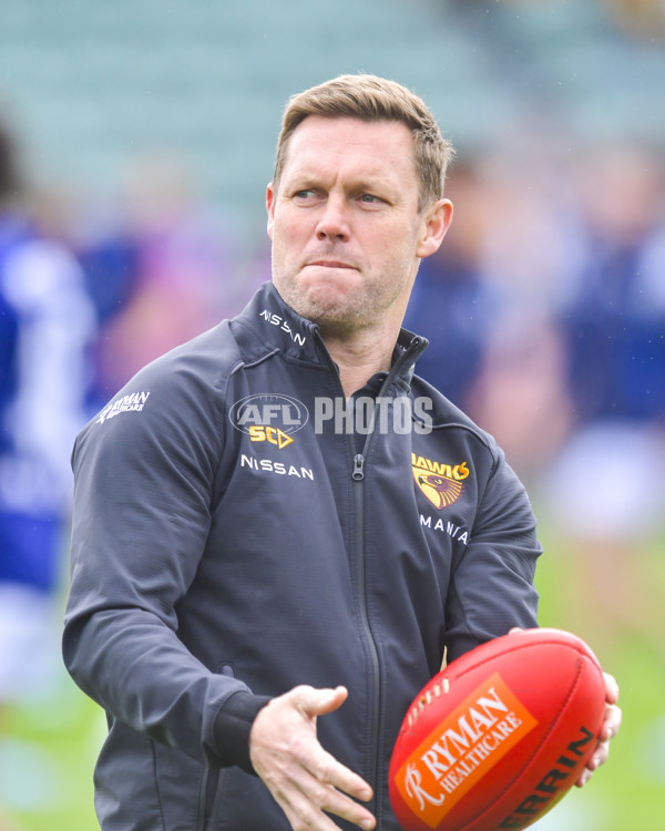 AFL 2024 Round 24 - Hawthorn v North Melbourne - A-53332532