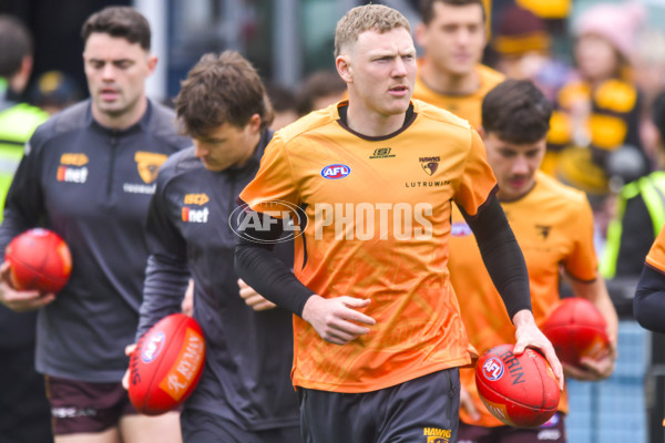 AFL 2024 Round 24 - Hawthorn v North Melbourne - A-53332540