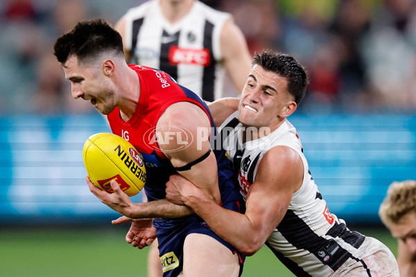 AFL 2024 Round 24 - Melbourne v Collingwood - A-53333659