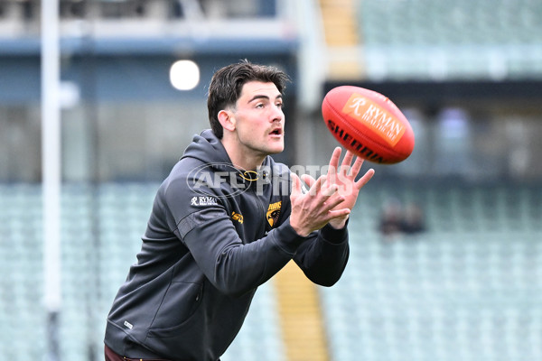 AFL 2024 Round 24 - Hawthorn v North Melbourne - A-53333699