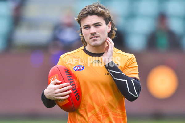 AFL 2024 Round 24 - Hawthorn v North Melbourne - A-53333702