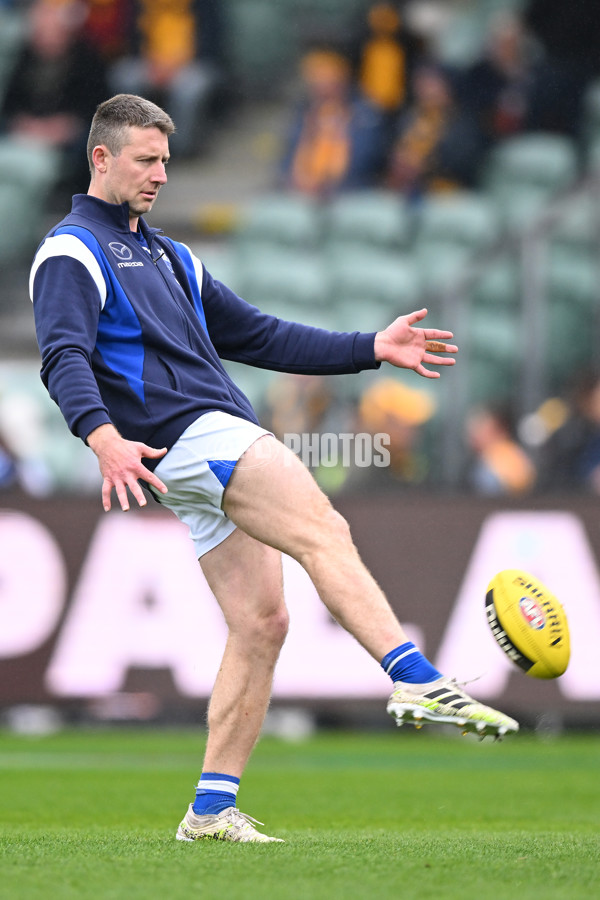 AFL 2024 Round 24 - Hawthorn v North Melbourne - A-53333719