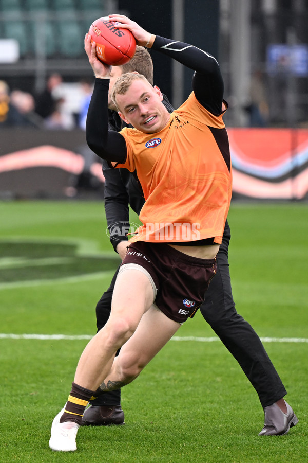 AFL 2024 Round 24 - Hawthorn v North Melbourne - A-53333725