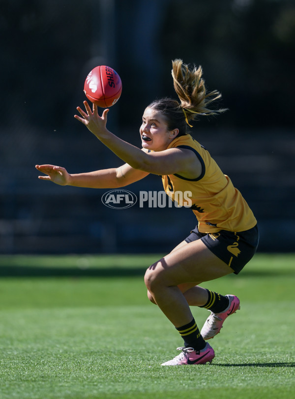 Marsh AFL Championships U18 Girls 2024 - South Australia v Western Australia - A-53333741