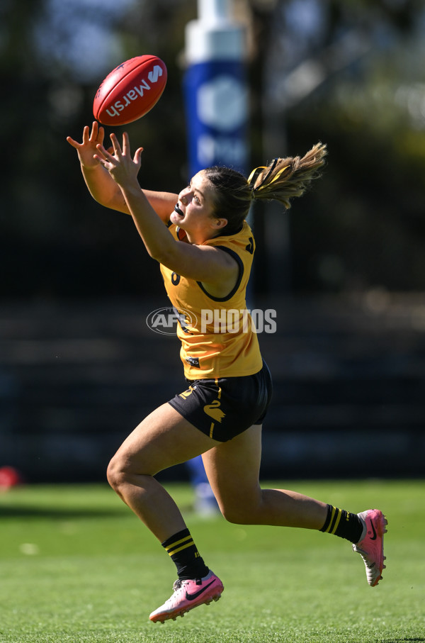 Marsh AFL Championships U18 Girls 2024 - South Australia v Western Australia - A-53335278