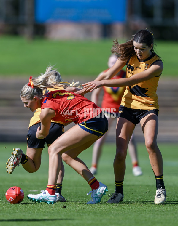 Marsh AFL Championships U18 Girls 2024 - South Australia v Western Australia - A-53335285