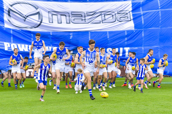 AFL 2024 Round 24 - Hawthorn v North Melbourne - A-53335291