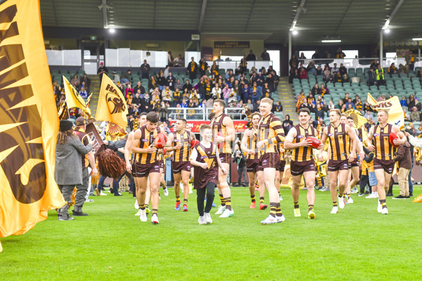 AFL 2024 Round 24 - Hawthorn v North Melbourne - A-53335293