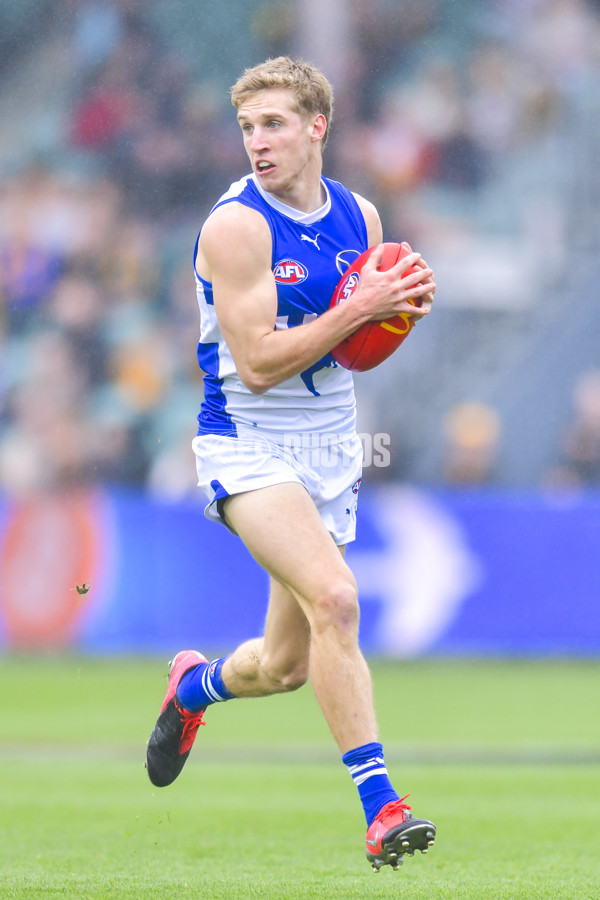 AFL 2024 Round 24 - Hawthorn v North Melbourne - A-53335303