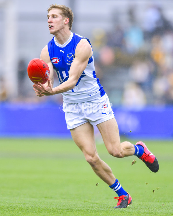 AFL 2024 Round 24 - Hawthorn v North Melbourne - A-53335304