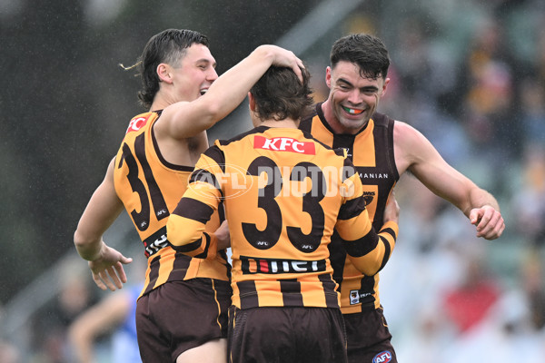 AFL 2024 Round 24 - Hawthorn v North Melbourne - A-53335307