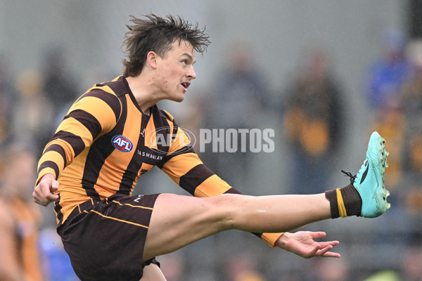 AFL 2024 Round 24 - Hawthorn v North Melbourne - A-53335308