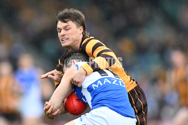 AFL 2024 Round 24 - Hawthorn v North Melbourne - A-53335310