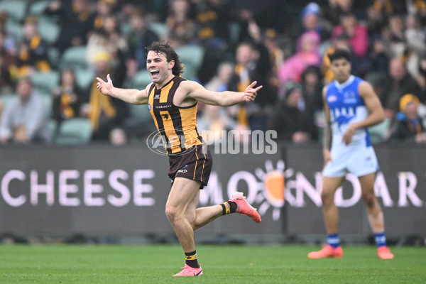 AFL 2024 Round 24 - Hawthorn v North Melbourne - A-53335329