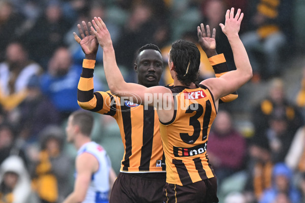 AFL 2024 Round 24 - Hawthorn v North Melbourne - A-53335332