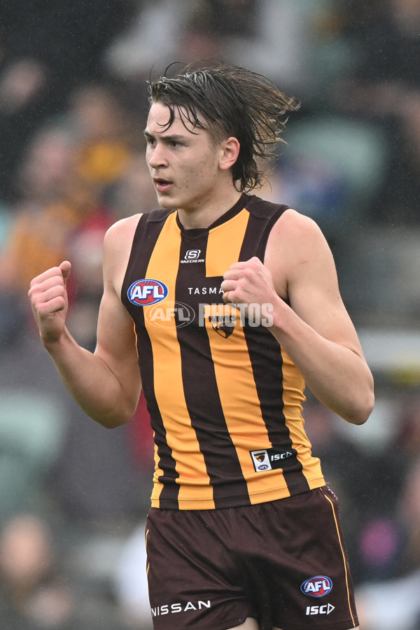 AFL 2024 Round 24 - Hawthorn v North Melbourne - A-53335333