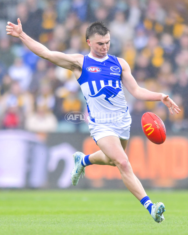 AFL 2024 Round 24 - Hawthorn v North Melbourne - A-53335337