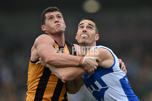 AFL 2024 Round 24 - Hawthorn v North Melbourne - A-53335338