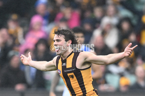 AFL 2024 Round 24 - Hawthorn v North Melbourne - A-53335346