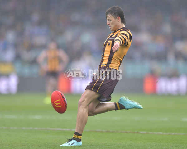 AFL 2024 Round 24 - Hawthorn v North Melbourne - A-53335350