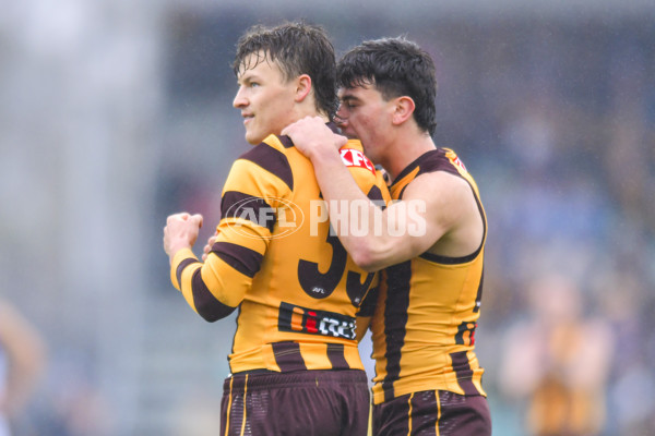 AFL 2024 Round 24 - Hawthorn v North Melbourne - A-53335355