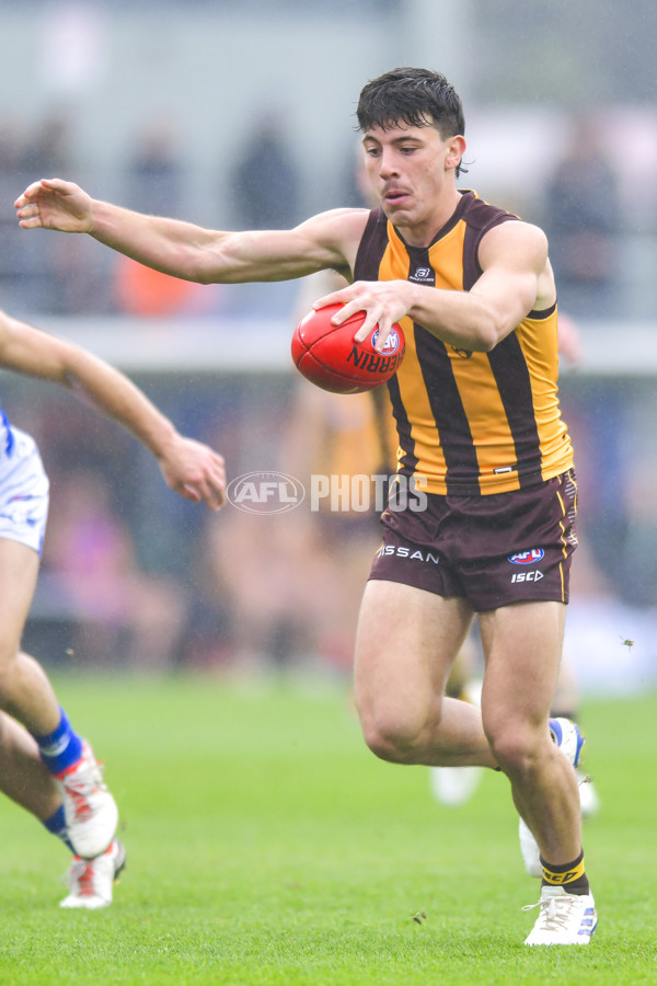 AFL 2024 Round 24 - Hawthorn v North Melbourne - A-53335358