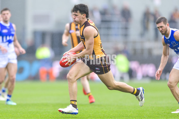 AFL 2024 Round 24 - Hawthorn v North Melbourne - A-53335359