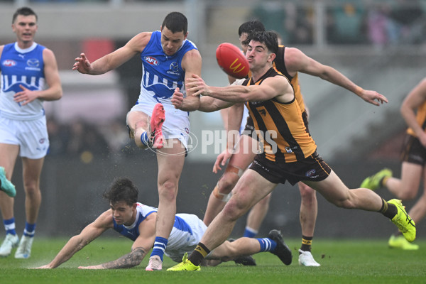 AFL 2024 Round 24 - Hawthorn v North Melbourne - A-53335366