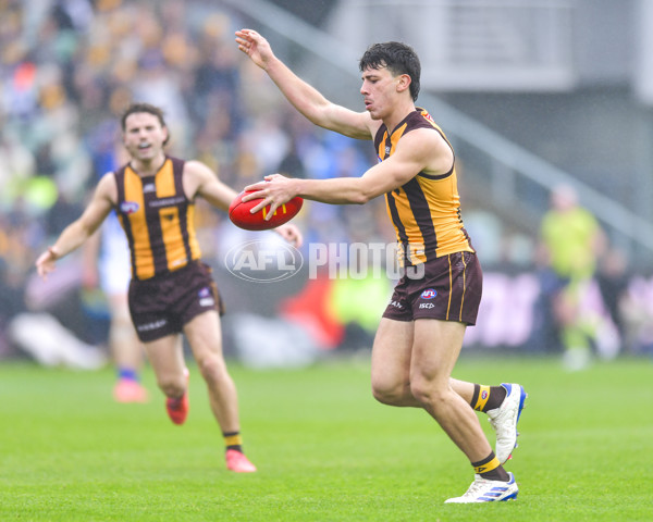 AFL 2024 Round 24 - Hawthorn v North Melbourne - A-53335369