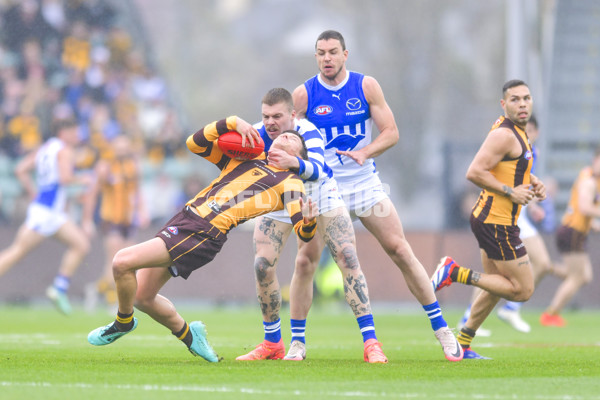 AFL 2024 Round 24 - Hawthorn v North Melbourne - A-53335984