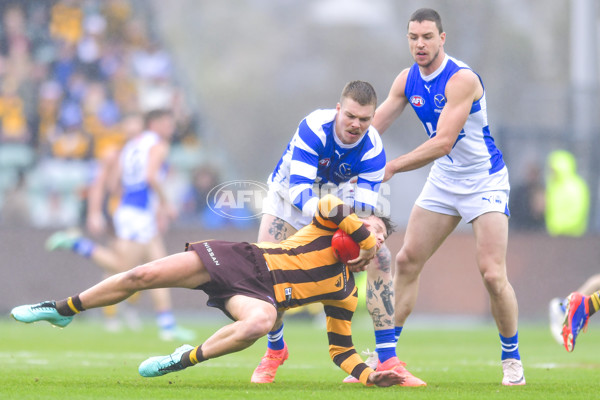 AFL 2024 Round 24 - Hawthorn v North Melbourne - A-53335985