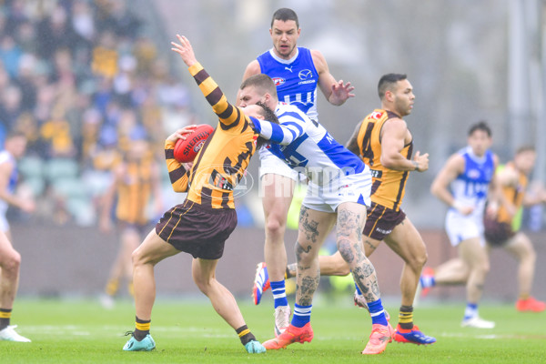 AFL 2024 Round 24 - Hawthorn v North Melbourne - A-53335986