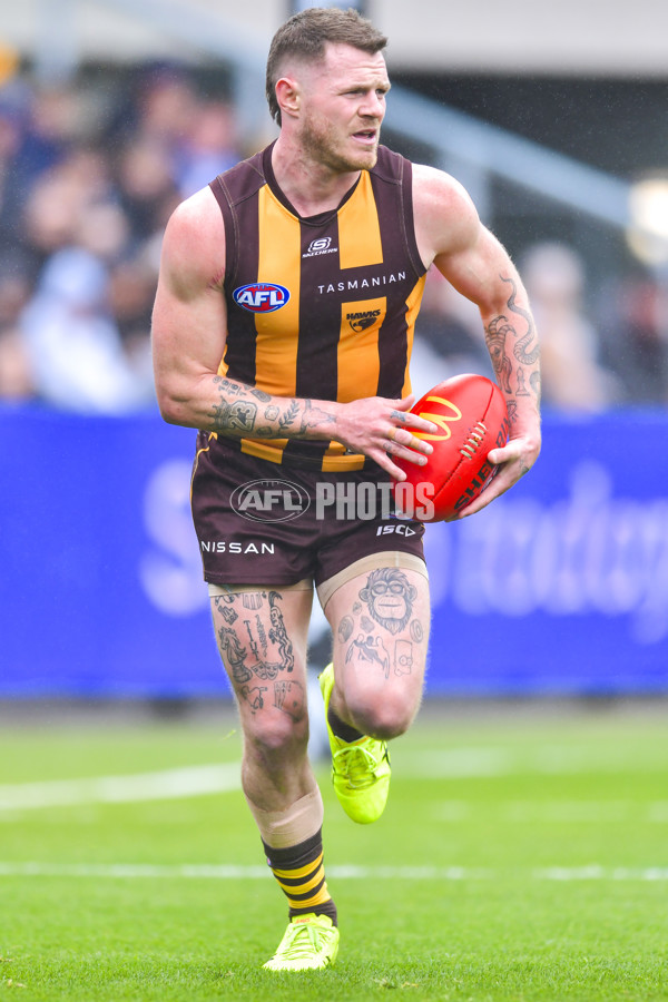 AFL 2024 Round 24 - Hawthorn v North Melbourne - A-53335987