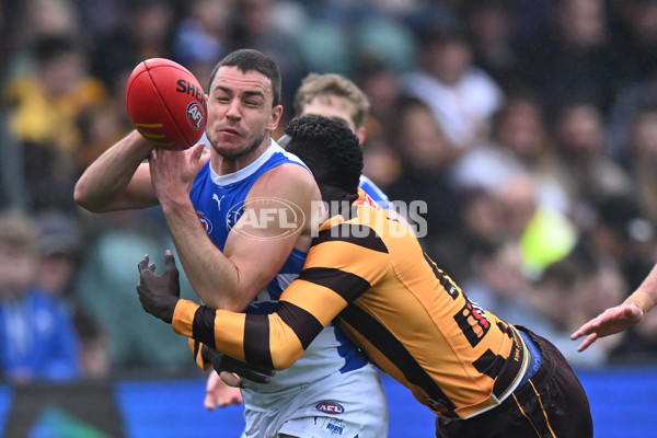 AFL 2024 Round 24 - Hawthorn v North Melbourne - A-53335992