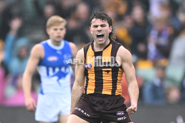 AFL 2024 Round 24 - Hawthorn v North Melbourne - A-53336011