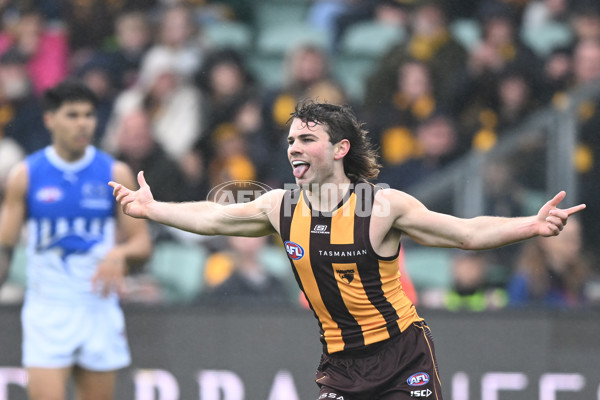 AFL 2024 Round 24 - Hawthorn v North Melbourne - A-53336016