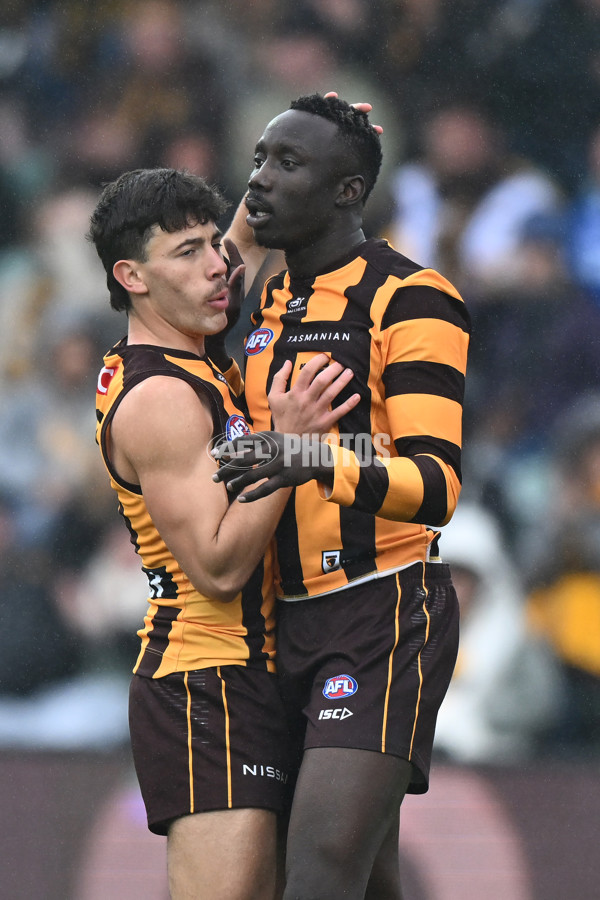 AFL 2024 Round 24 - Hawthorn v North Melbourne - A-53336018