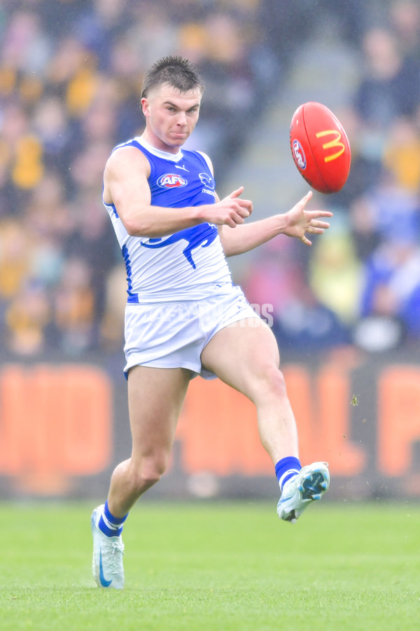 AFL 2024 Round 24 - Hawthorn v North Melbourne - A-53336022