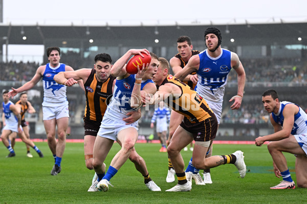 AFL 2024 Round 24 - Hawthorn v North Melbourne - A-53336026