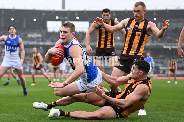 AFL 2024 Round 24 - Hawthorn v North Melbourne - A-53336029