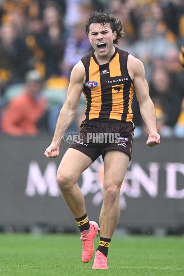 AFL 2024 Round 24 - Hawthorn v North Melbourne - A-53336030