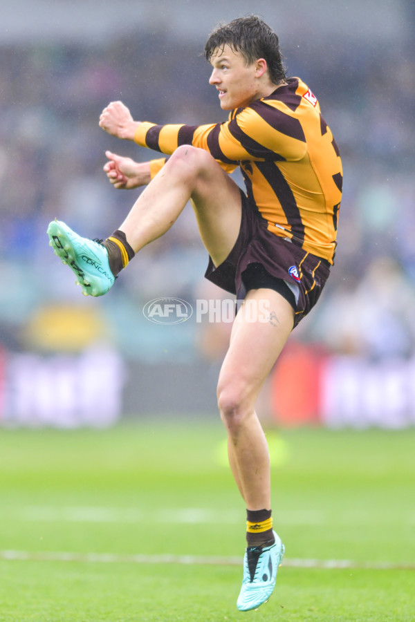 AFL 2024 Round 24 - Hawthorn v North Melbourne - A-53336042