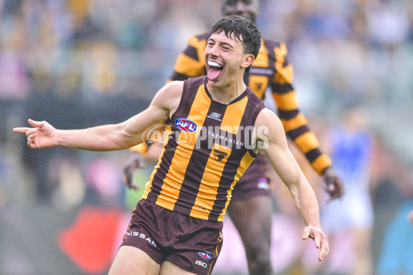 AFL 2024 Round 24 - Hawthorn v North Melbourne - A-53336045