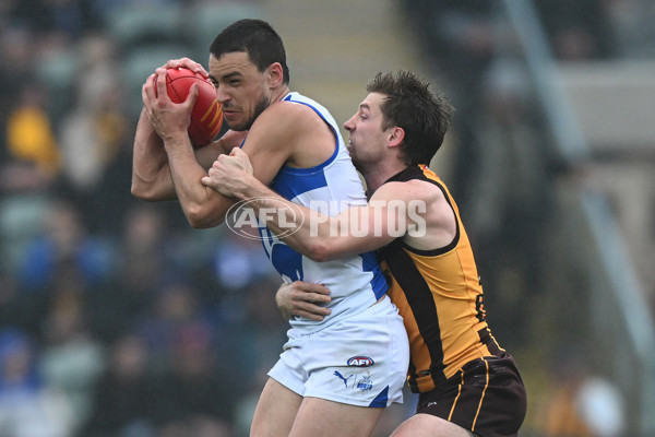 AFL 2024 Round 24 - Hawthorn v North Melbourne - A-53336056