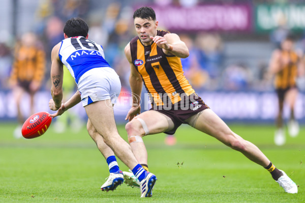 AFL 2024 Round 24 - Hawthorn v North Melbourne - A-53336063