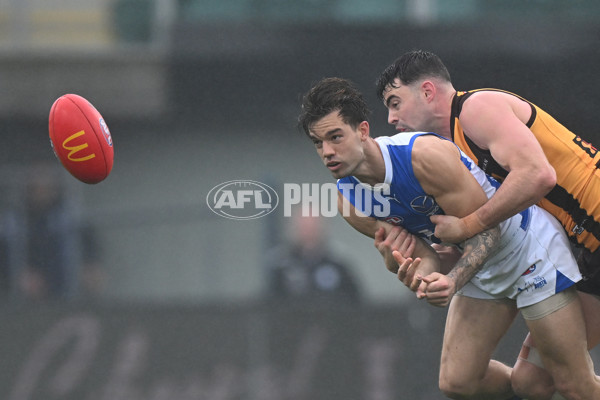 AFL 2024 Round 24 - Hawthorn v North Melbourne - A-53336065