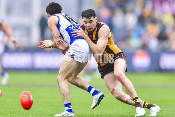 AFL 2024 Round 24 - Hawthorn v North Melbourne - A-53336066